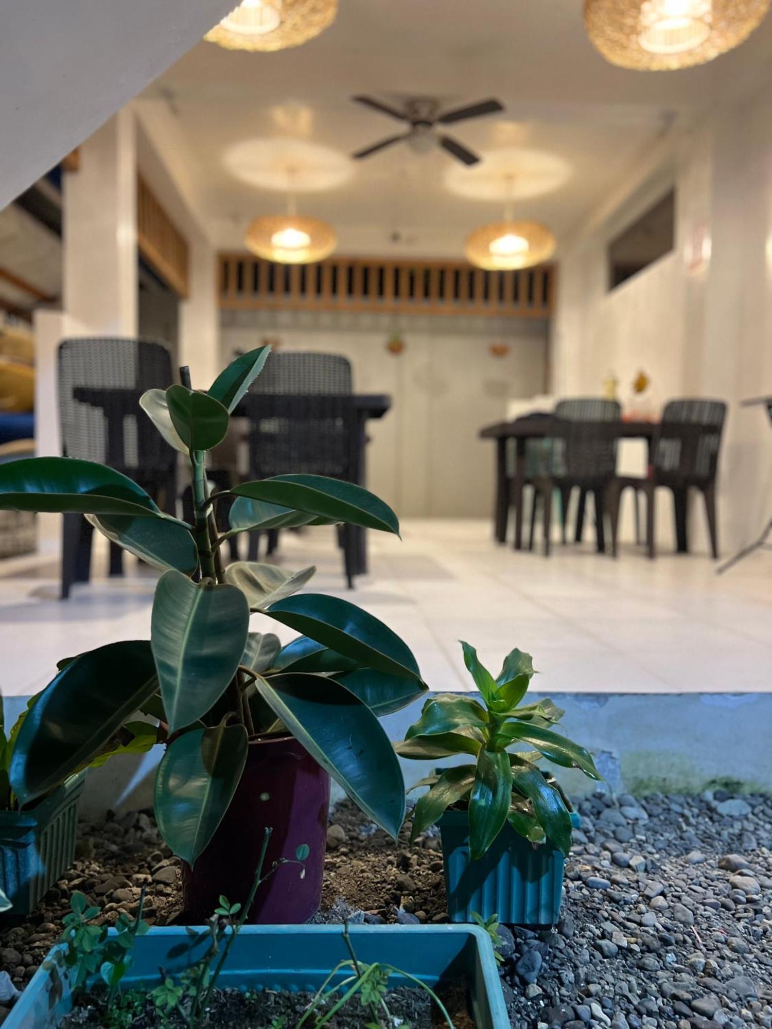 Sunny Terrace 호텔 발레르 외부 사진